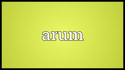 arum meaning in hindi